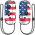 USA Flag Nintendo Skins