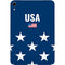 USA Flag Stars Apple iPad Mini Skin