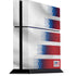 USA Soccer Flag PlayStation PS4 Skins