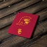 University of Southern California USC Trojan Large Mascot Apple iPad Pro Skin