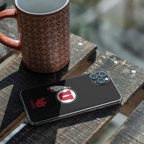 Utah Circle and Feather on Black iPhone 11 Pro Max Skin