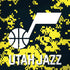 NBA Utah Jazz Grey Digi Camo iPhone X Skin