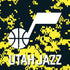 NBA Utah Jazz Grey Digi Camo iPhone XR Pro Case