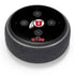 University of Utah Utes Logo Amazon Echo Dot Skin