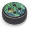 Vincent Van Gogh Irises Amazon Echo Dot Skin