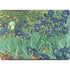 Van Gogh - Irises by Van Gogh Apple MacBook Pro 14-inch Skin