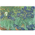 Van Gogh - Irises by Van Gogh MacBook Skins