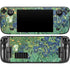 Vincent Van Gogh Irises Steam Deck Handheld Gaming Computer Skin