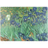 Van Gogh - Irises by Van Gogh Surface Laptop 7 15in Skin