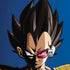Dragon Ball Z Vegeta Portrait iPhone XR Pro Case