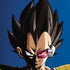 Dragon Ball Z Vegeta Portrait iPhone XS Pro Case