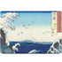View of the Naruto whirlpools at Awa by Hiroshige MacBook Skins