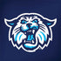 Villanova University V Initial Galaxy Note 8 Skin