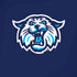 Villanova University V Initial iPhone XR Pro Case