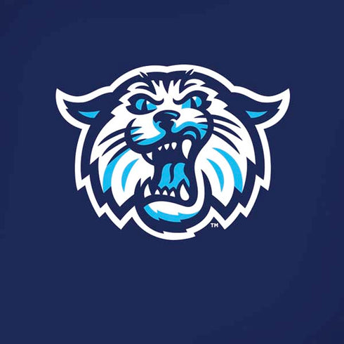 Villanova University V Initial iPhone XR Skin