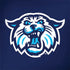 Villanova University V Initial Dell Latitude Skin