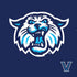 Villanova University V Initial PS4 Console and Controller Bundle Skin