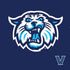 Villanova University V Initial PS4 Console Skin