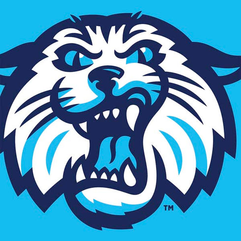 Villanova University Wildcats 1842 Nintendo 2DS XL (2017) Skin