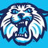 Villanova University Wildcats 1842 Nintendo 2DS XL (2017) Skin