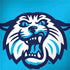 Villanova University Wildcats 1842 Galaxy Note 8 Skin