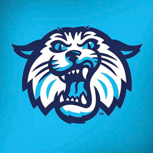 Villanova University Wildcats 1842 iPhone X Skin