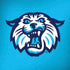 Villanova University Wildcats 1842 iPhone X Skin