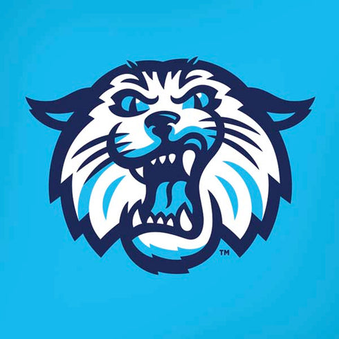 Villanova University Wildcats 1842 iPhone XR Skin