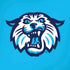 Villanova University Wildcats 1842 iPhone XR Skin