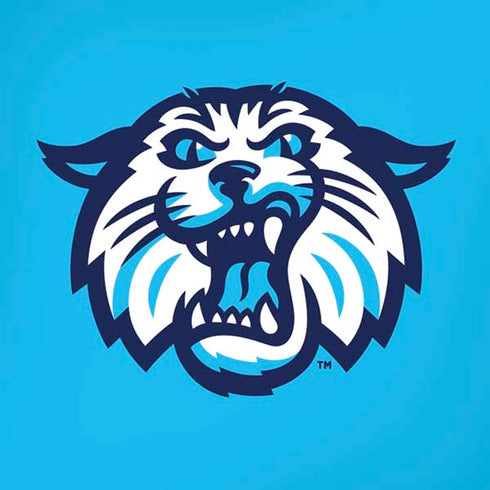 Villanova University Wildcats 1842 iPhone XS Max Skin