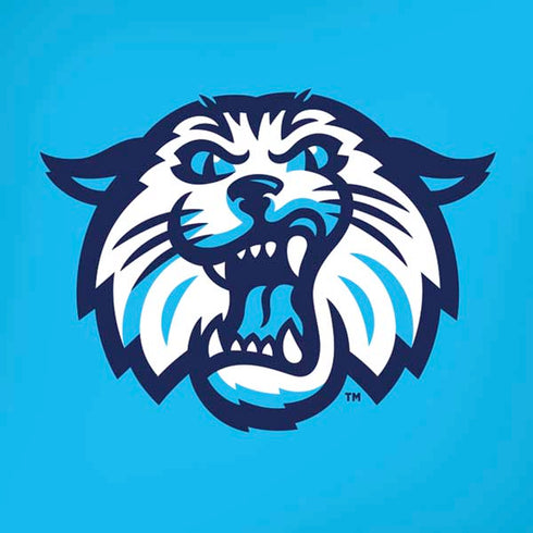Villanova University Wildcats 1842 iPhone XS Pro Case