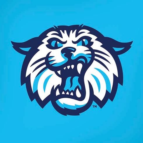 Villanova University Wildcats 1842 iPhone XS Skin