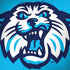 Villanova University Wildcats 1842 Surface Book 2 13.5in Skin