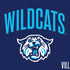 Villanova University Wildcats Nintendo 2DS XL (2017) Skin