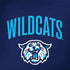 Villanova University Wildcats Galaxy Note 8 Skin