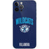 Villanova University Wildcats iPhone 12 Pro Max Skin