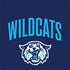 Villanova University Wildcats Otterbox Commuter Galaxy Skin