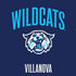 Villanova University Wildcats PS4 Console Skin