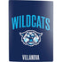 Villanova University Wildcats PS5 Digital Edition Console Skin