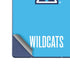 Villanova University Wildcats V Large Galaxy Z Fold6 Skin