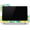 Vitamin Sea Google Home Hub Skin