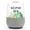 Vitamin Sea Google Home Skin