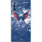 NHL Washington Capitals Frozen Galaxy Note 10 Plus Skin