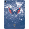 NHL Washington Capitals Frozen Apple iPad Air Skin