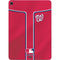 MLB Washington Nationals Alternate Jersey Apple iPad Air Skin