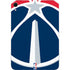 NBA Washington Wizards Large Logo Apple iPad Mini Skin