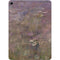 Water Lilies by Claude Monet Apple iPad Air Skin