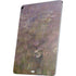 Water Lilies by Claude Monet Apple iPad Air Skin