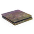 Water Lilies by Claude Monet PlayStation PS4 Skins