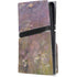 Water Lilies by Claude Monet PS5 Pro Disk Console Skin